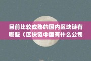区块链目前分类有哪些种类(区块链目前分类有哪些种类呢)